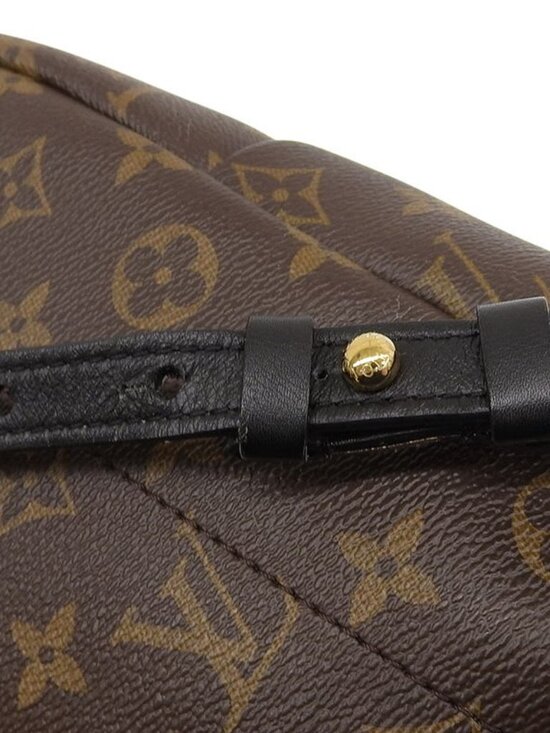 Louis Vuitton Monogram Palm Springs Backpack Rucksack Daypack main image 6